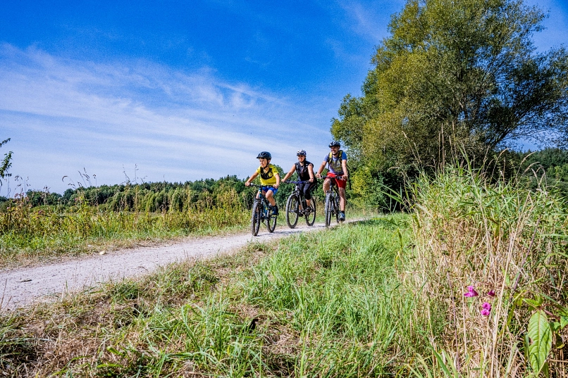 grüne Landschaft, durch die eine dreiköpfige Familie auf Fahrrädern fährt