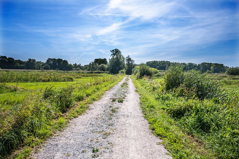 Auetal Weg durch Wiesen