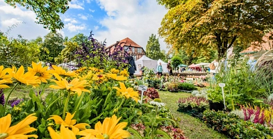 Gelbe Blumen sind im Vordergrund. Dahinter sind der Amtshof, sowie Personen und Stände auf dem Herbstmarkt zu sehen.