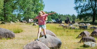 Garten der Steine mit Familienbesuch