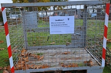 Laubbox Harsefeld Metallkorb auf einer Wiese teilweise gefüllt mit Laub und mit Schild auf dem geschrieben ist: "Laubbox! Bitte nur mit dem Laub der Straßenbäume befüllen."