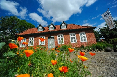 Museum Harsefeld - Blumen im Vordergrund