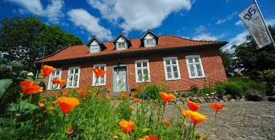 Museum Harsefeld - Blumen im Vordergrund